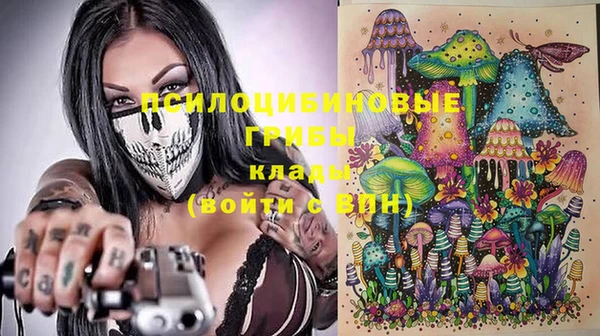 хмурый Абинск