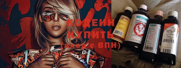мдпв Пересвет