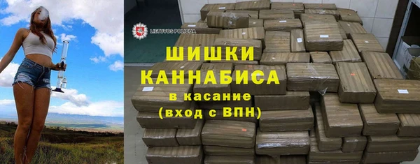 сатива Болхов