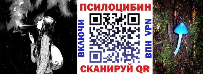 Псилоцибиновые грибы MAGIC MUSHROOMS  хочу наркоту  Ядрин 