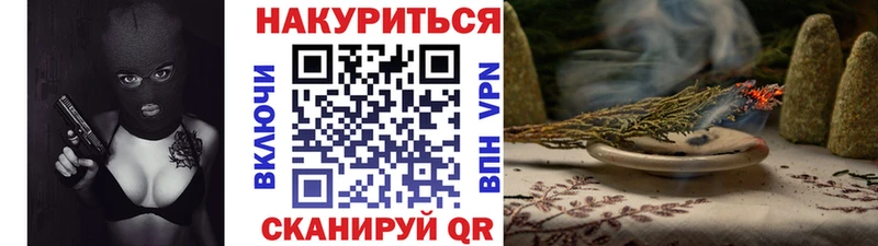 Конопля гибрид  Ядрин 